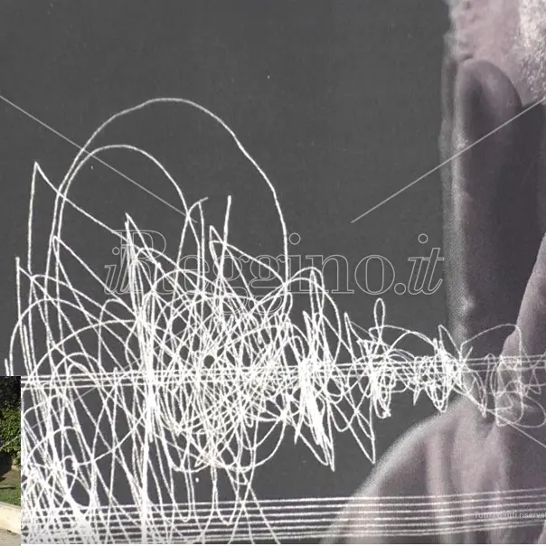 Reggio, la storia del sisma del 1908 a Gallico nel libro di Carmelo Covani - VIDEO