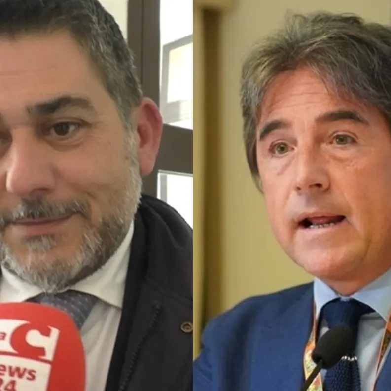 Circoscrizioni a Reggio, il vicepresidente di Anci smentisce Brunetti: «Non abbiamo avuto alcun ruolo»