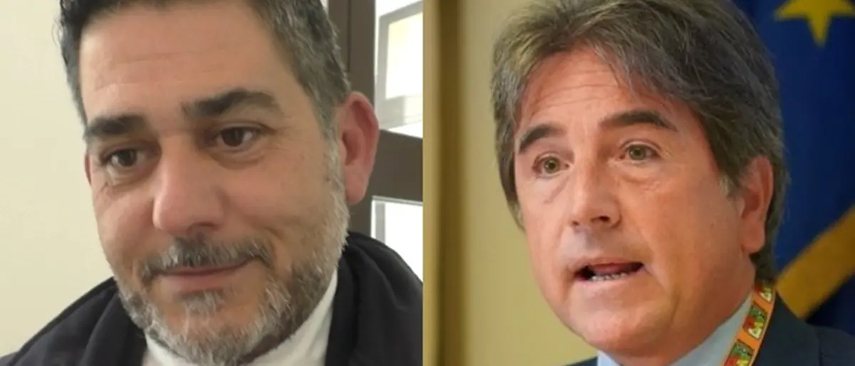 Circoscrizioni a Reggio, il vicepresidente di Anci smentisce Brunetti: «Non abbiamo avuto alcun ruolo»