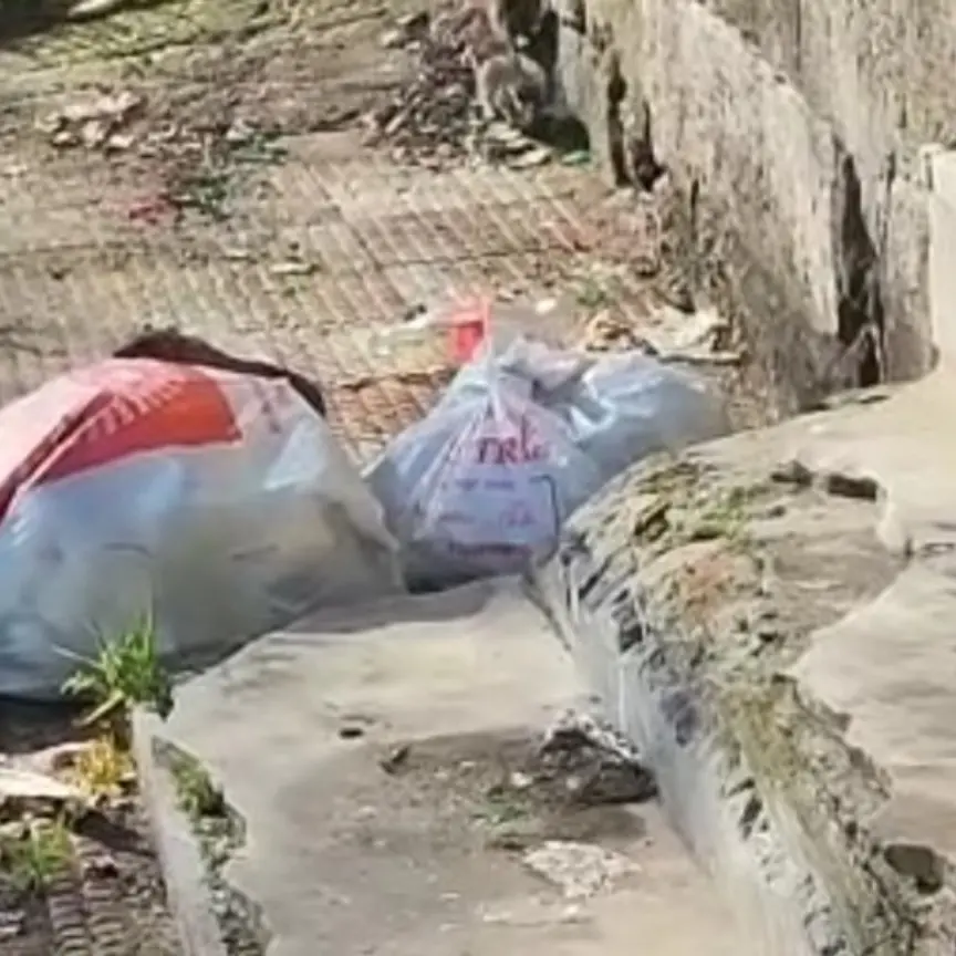 Gioia Tauro, Fratelli d’Italia denuncia il «degrado urbano, pietoso e ingiustificabile»