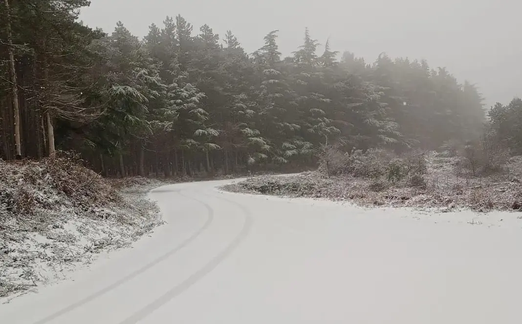 Neve in Calabria, nel reggino imbiancata anche Canolo - FOTO
