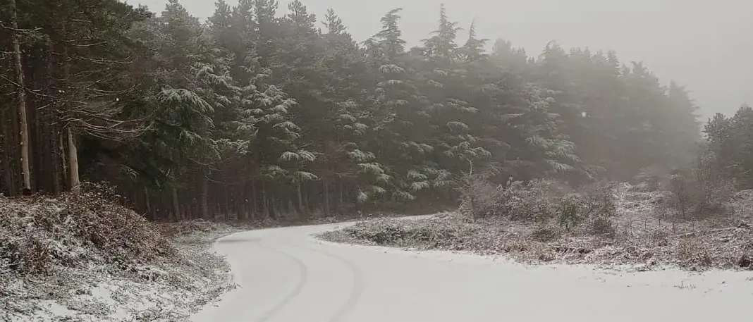 Neve in Calabria, nel reggino imbiancata anche Canolo - FOTO