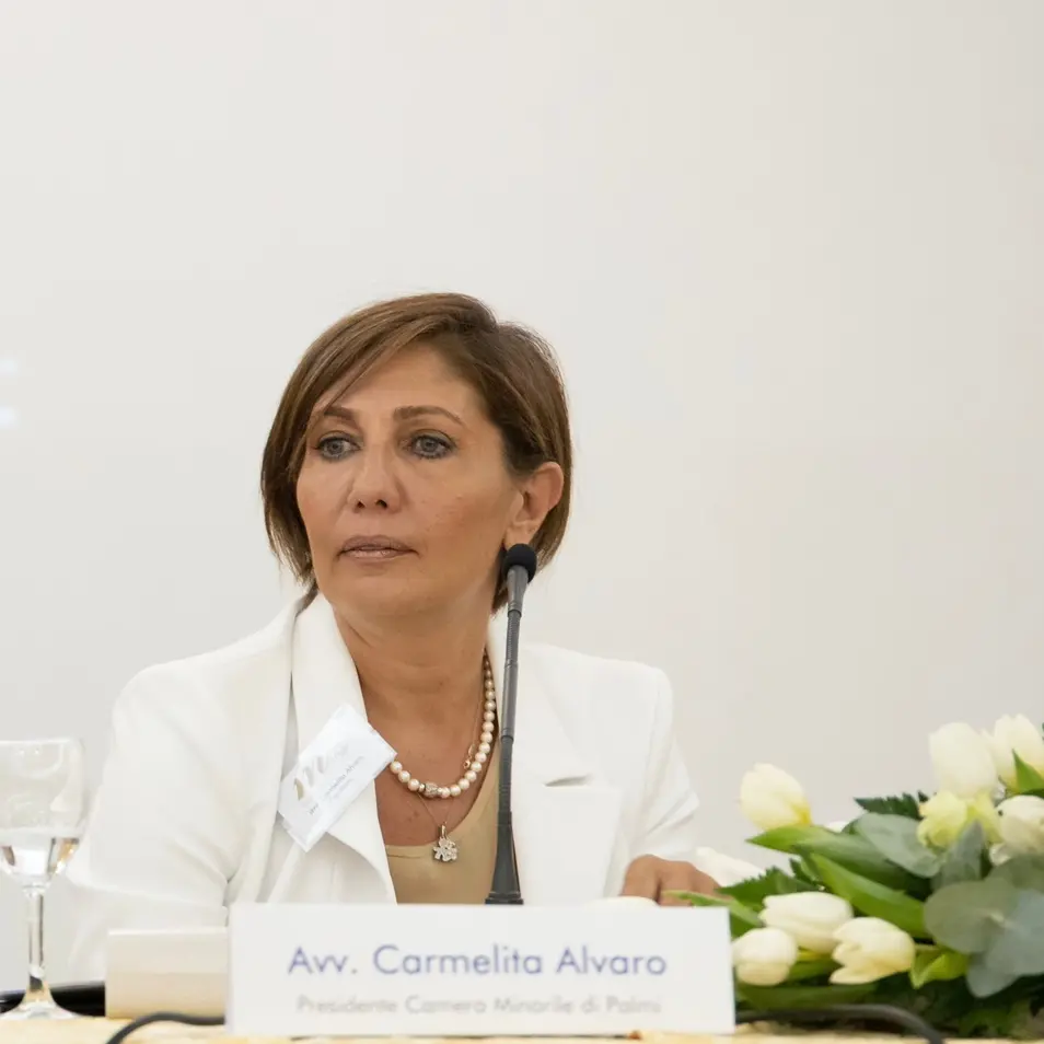 Palmi, eletto il nuovo Consiglio dell'Ordine degli avvocati - I NOMI