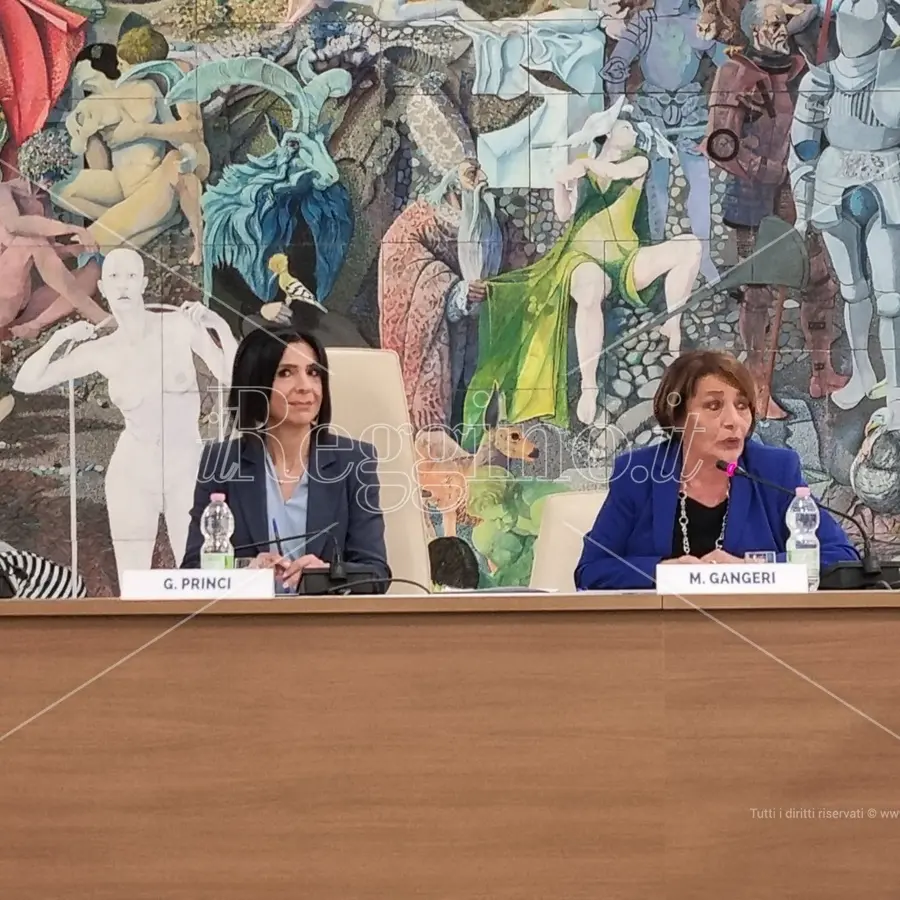 Disabilità a Reggio, presentato il progetto regionale d'inclusione Agedilab - VIDEO