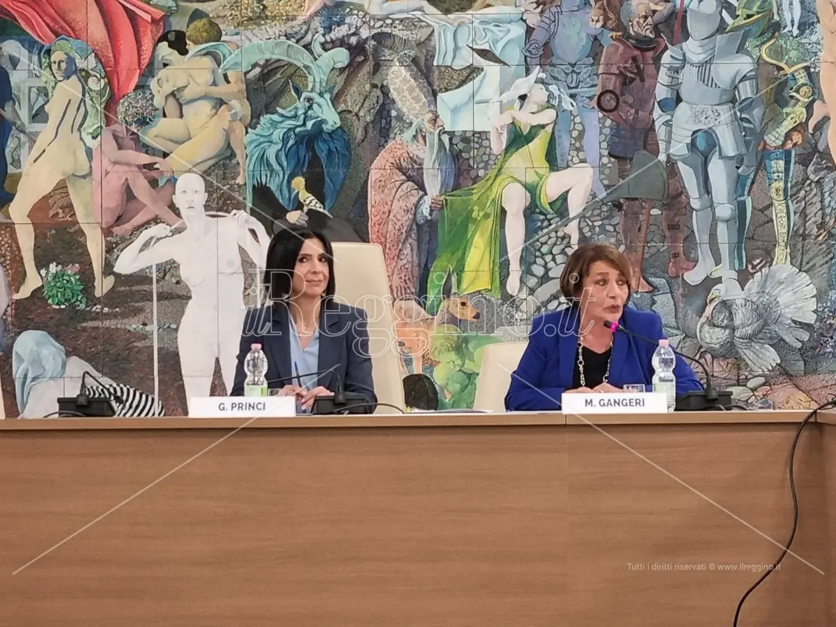 Disabilità a Reggio, presentato il progetto regionale d'inclusione Agedilab - VIDEO