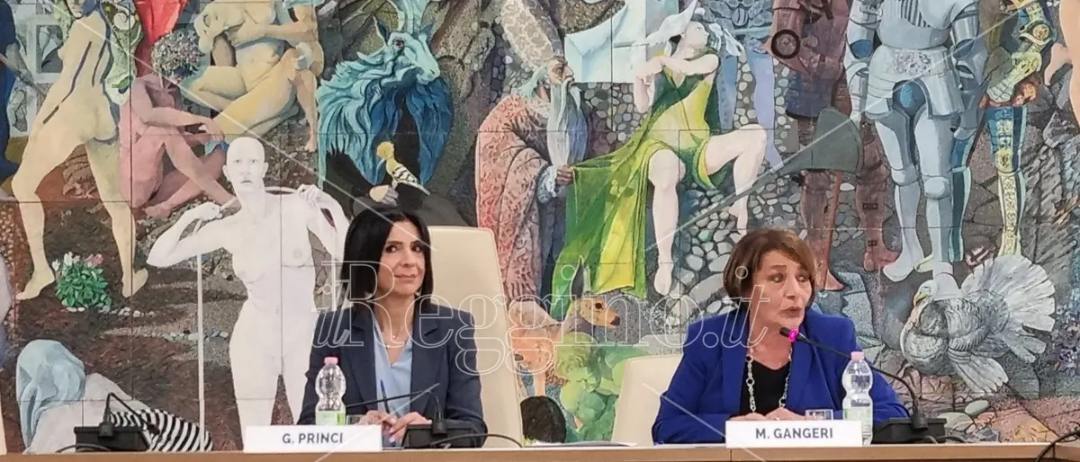 Disabilità a Reggio, presentato il progetto regionale d'inclusione Agedilab - VIDEO