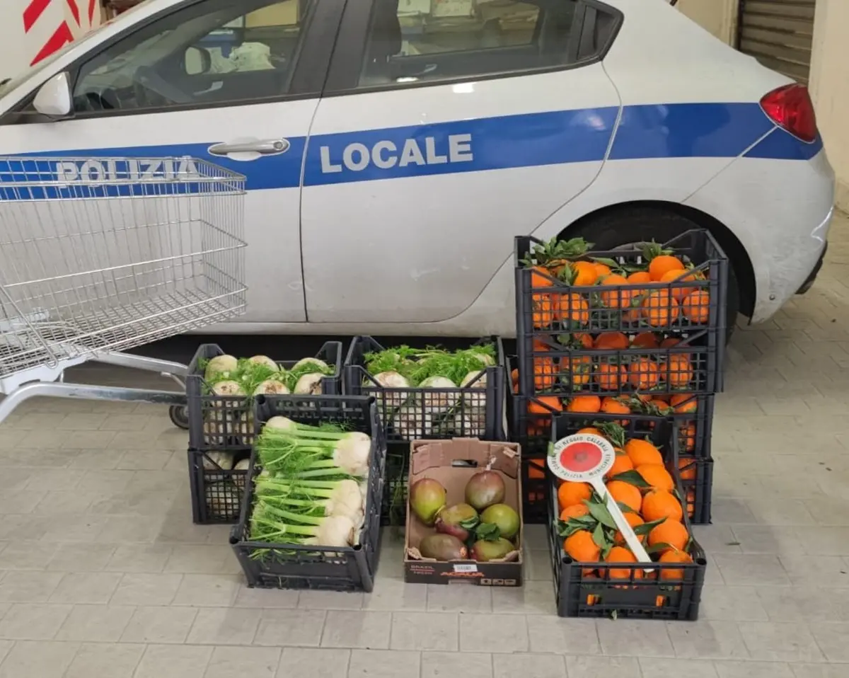 Reggio, Polizia locale sequestra un quintale di ortaggi ed eleva sanzioni per 18mila euro