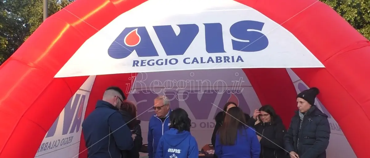 Reggio, l'Avis comunale si prepara a festeggiare 70 anni di attività