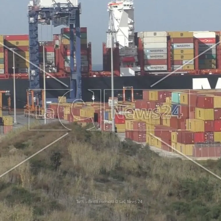 Porto di Gioia Tauro, il gruppo del Pd: «Serve un accordo tra Corap e Autorità di sistema»