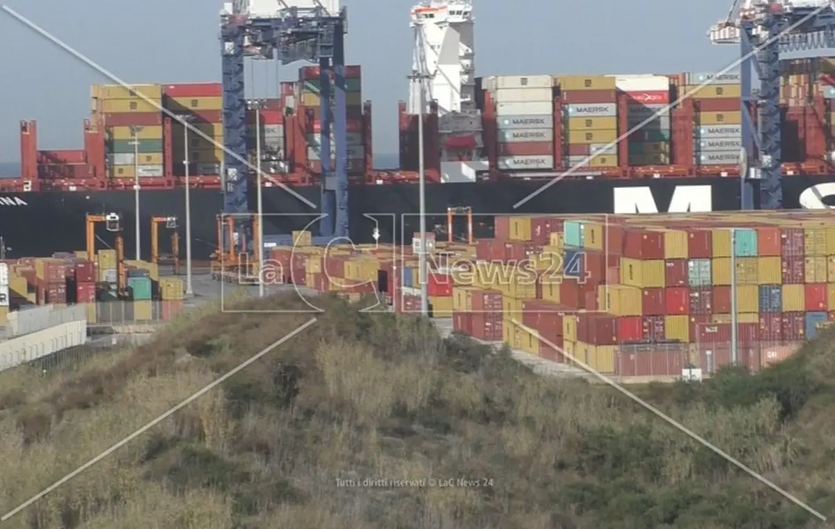 Porto di Gioia Tauro, il gruppo del Pd: «Serve un accordo tra Corap e Autorità di sistema»