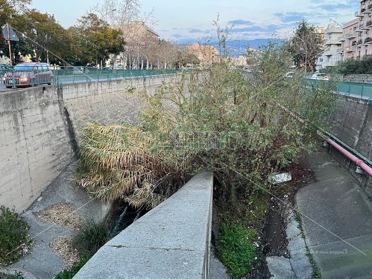 Reggio, al via interventi di manutenzione dei torrenti: si parte dal Calopinace - FOTO