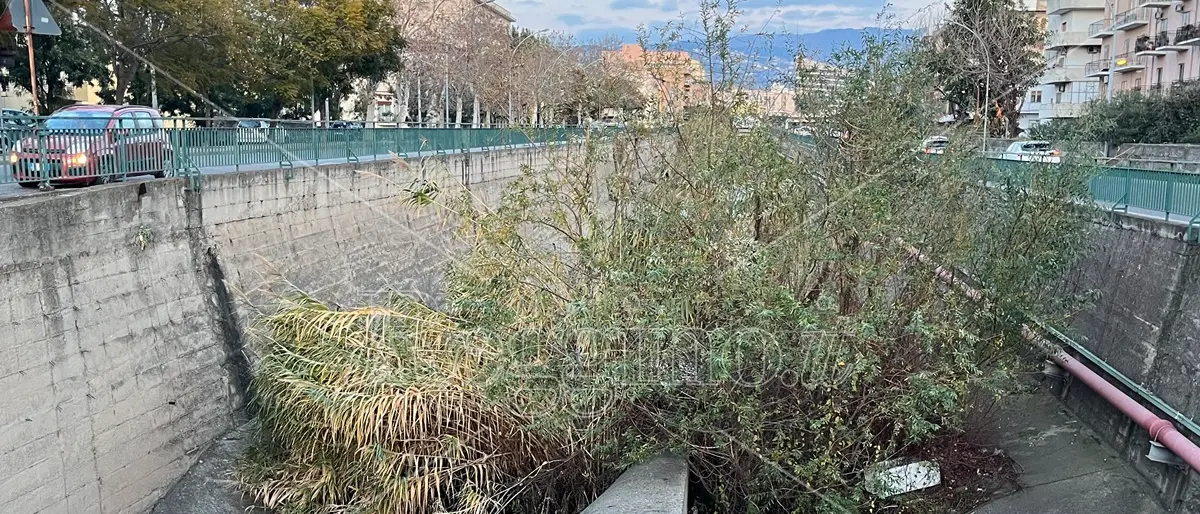 Reggio, al via interventi di manutenzione dei torrenti: si parte dal Calopinace - FOTO
