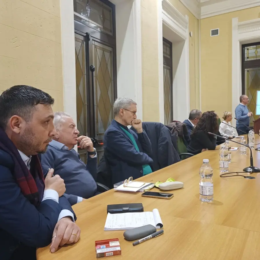 Autonomia differenziata, Versace dalla Metrocity di Reggio: «No ai distinguo sui diritti»