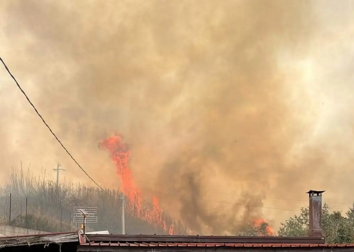 Bagnara, vasto incendio tra contrada San Giovanni e Pomarelli