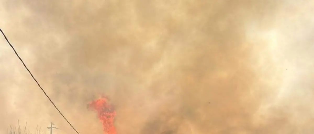Bagnara, vasto incendio tra contrada San Giovanni e Pomarelli