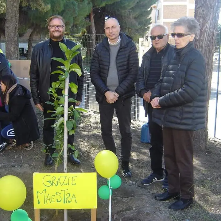 Reggio, un alberello di limoni in memoria di Carmen Marra