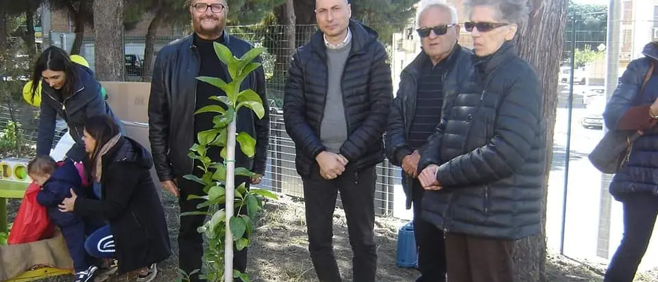 Reggio, un alberello di limoni in memoria di Carmen Marra