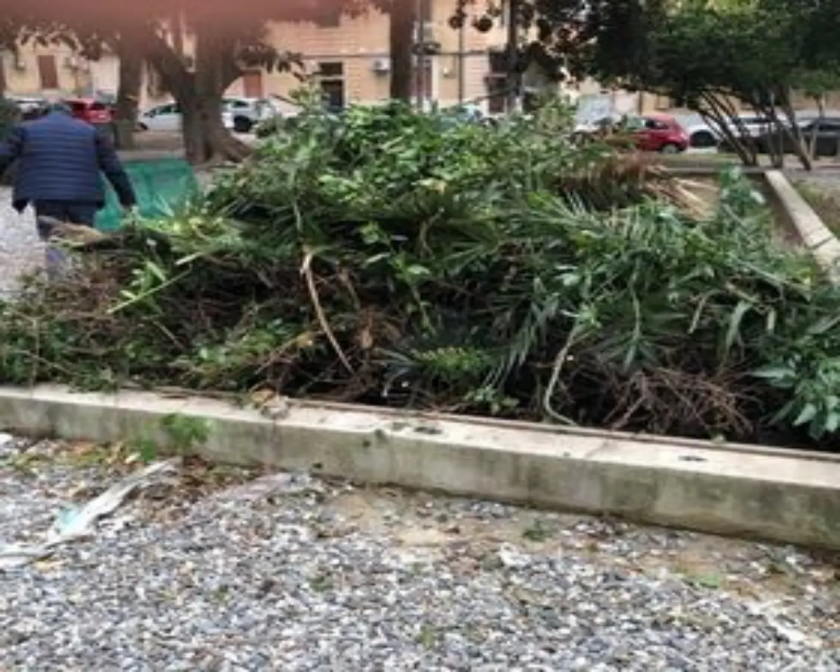 Reggio, l’esempio di “Noi che amiamo Santa Caterina”: «Rimbocchiamoci le maniche e puliamo la Villetta»
