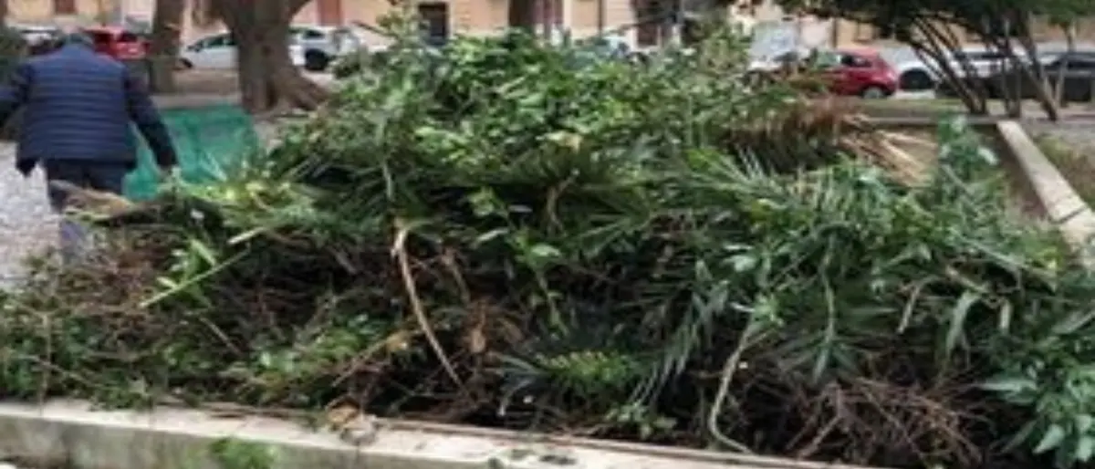 Reggio, l’esempio di “Noi che amiamo Santa Caterina”: «Rimbocchiamoci le maniche e puliamo la Villetta»