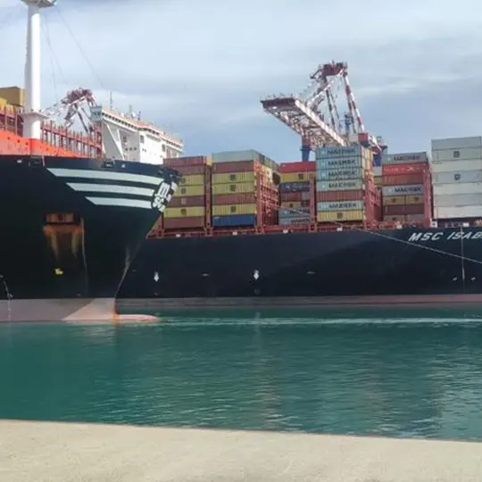 Porto di Gioia Tauro, Nesci: «Pochi spiragli per salvarlo»