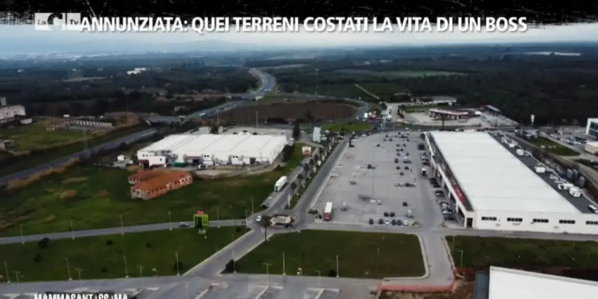Mammasantissima, la storia dei terreni contesi tra i Piromalli e i Molè che potrebbero essere costati la vita al boss