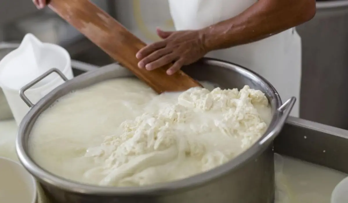 Reggio, alla scoperta del “Casaro” nel borgo di San Salvatore