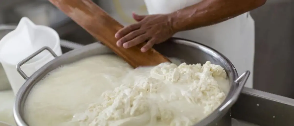 Reggio, alla scoperta del “Casaro” nel borgo di San Salvatore