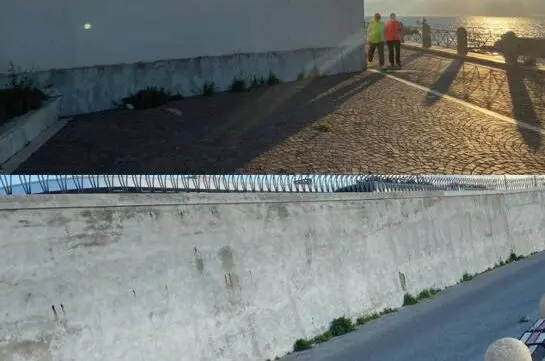 Street art a Reggio, Milia: «Scelta dell'amministrazione inspiegabile e senza logica»