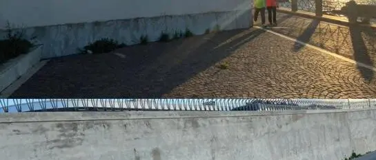 Street art a Reggio, Milia: «Scelta dell'amministrazione inspiegabile e senza logica»