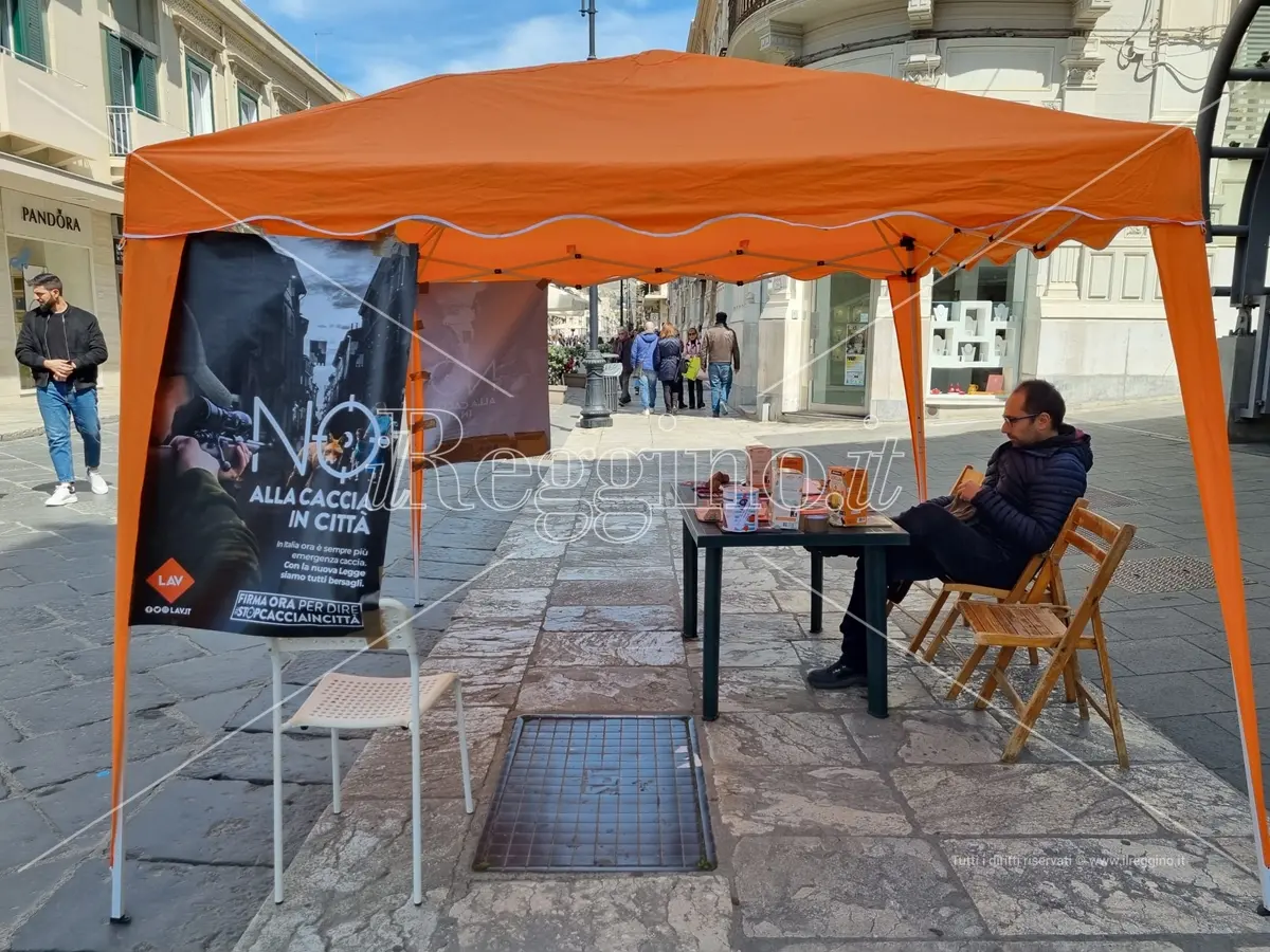 Reggio, raccolta firme Lav contro la “Caccia selvaggia”