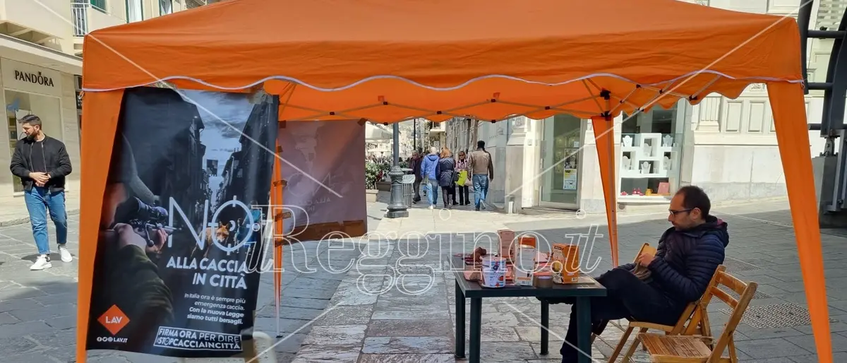 Reggio, raccolta firme Lav contro la “Caccia selvaggia”