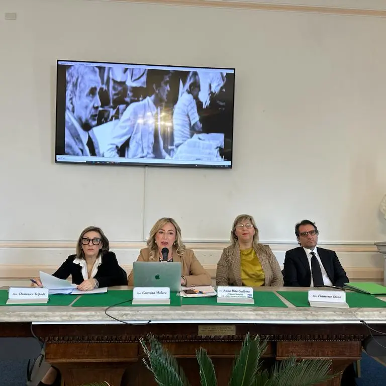 Reggio, al Piria un percorso di legalità attraverso i principi costituzionali