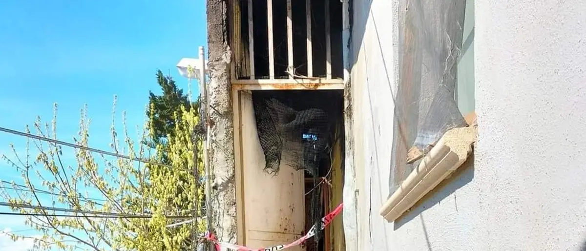 Appello a Reggio per Alfonsina e i suoi due cani: salvi per miracolo dopo un incendio cercano casa