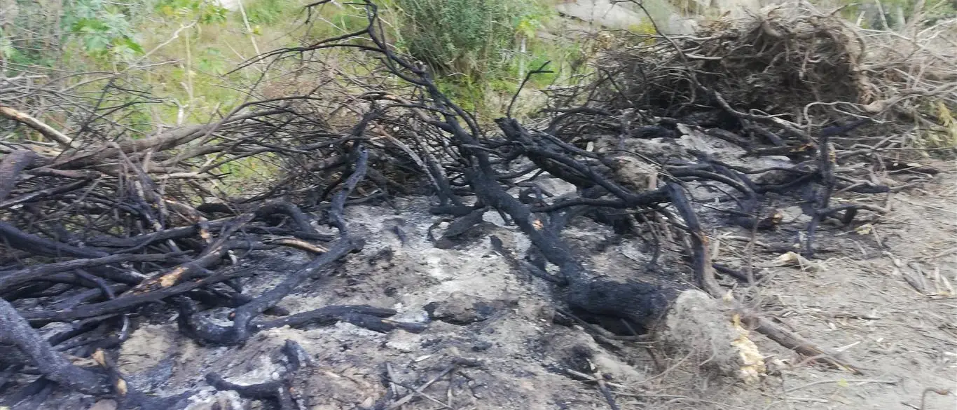 Motta San Giovanni, Ancadic: «Strana attività di pulizia del torrente Oliveto»