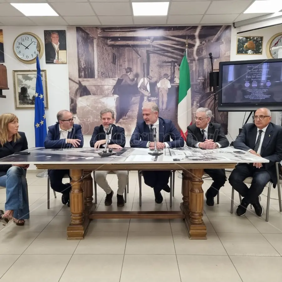 Bergamotto di Reggio, l'impegno alla valorizzazione di D'Eramo: «Sottoporrò il caso a Lollobrigida» - VIDEO