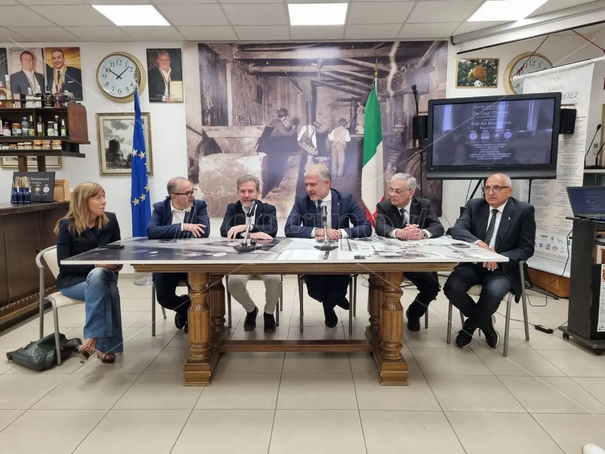 Bergamotto di Reggio, l'impegno alla valorizzazione di D'Eramo: «Sottoporrò il caso a Lollobrigida» - VIDEO