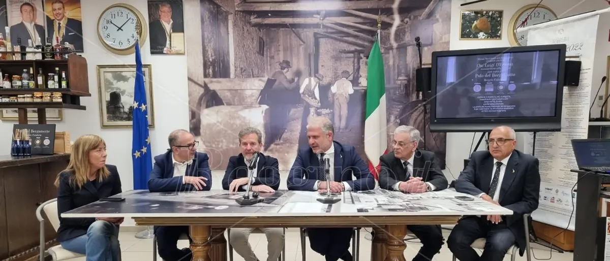 Bergamotto di Reggio, l'impegno alla valorizzazione di D'Eramo: «Sottoporrò il caso a Lollobrigida» - VIDEO