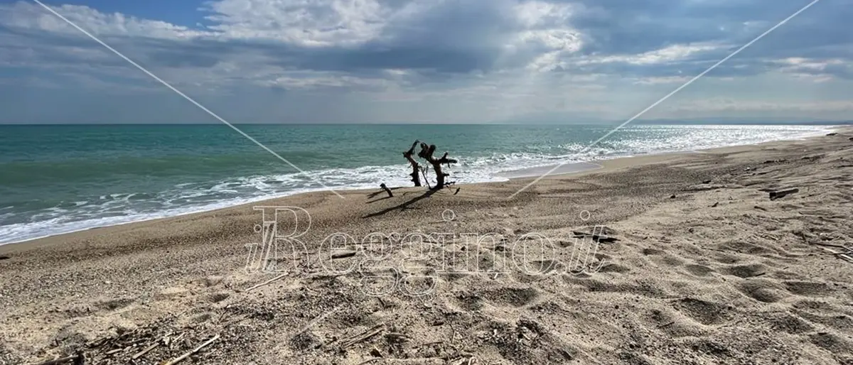 L’insostenibile bellezza dell’esserci e quel fiore sulla spiaggia di Cutro