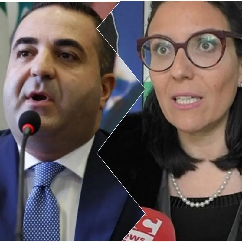 Ponte e approdi, Caminiti insiste:«Emendamenti Cannizzaro danneggiano Villa e FI è con noi»