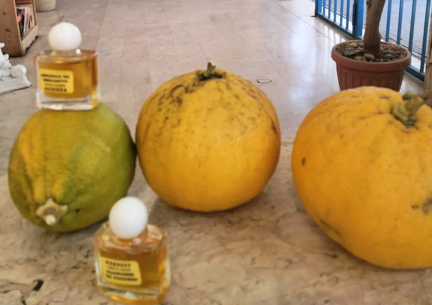 Reggio, la stazione di Santa Caterina profumerà di Bergamotto