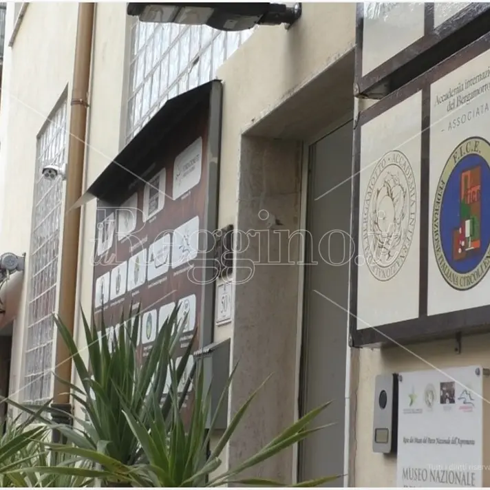 Mercato di via Filippini a Reggio, rigettato il ricorso d'urgenza del Museo del bergamotto