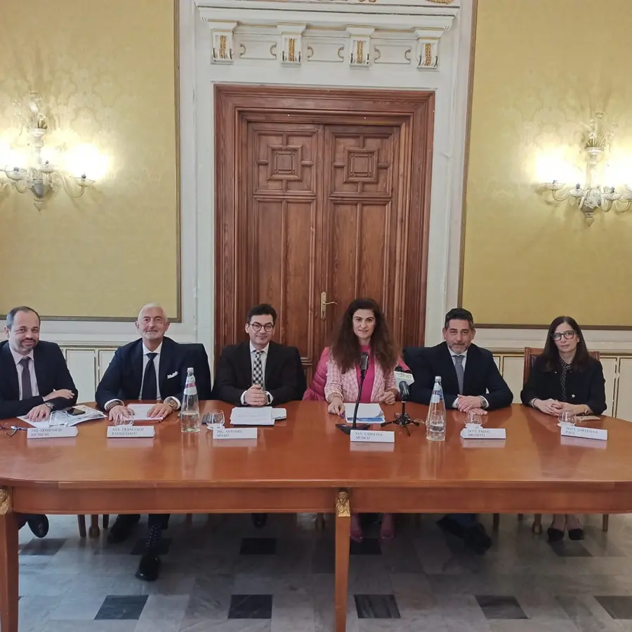 Reggio, al Comune un convegno su transizione ecologica e comunità energetiche rinnovabili