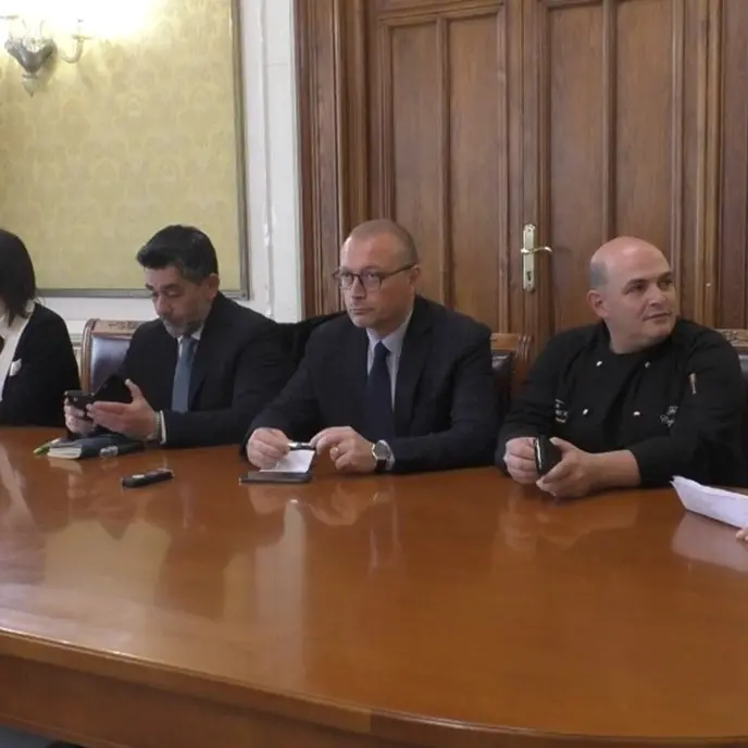 “Levitas” a Reggio, da palazzo Mottareale inizia il percorso liberty per le vie della città - VIDEO