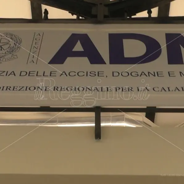 Migranti, Carbone: «Agenzia delle Dogane ha gestito oltre 200 imbarcazioni» - VIDEO