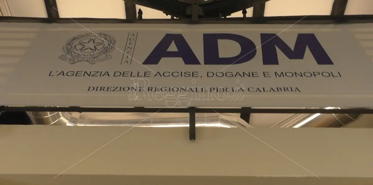 Migranti, Carbone: «Agenzia delle Dogane ha gestito oltre 200 imbarcazioni» - VIDEO