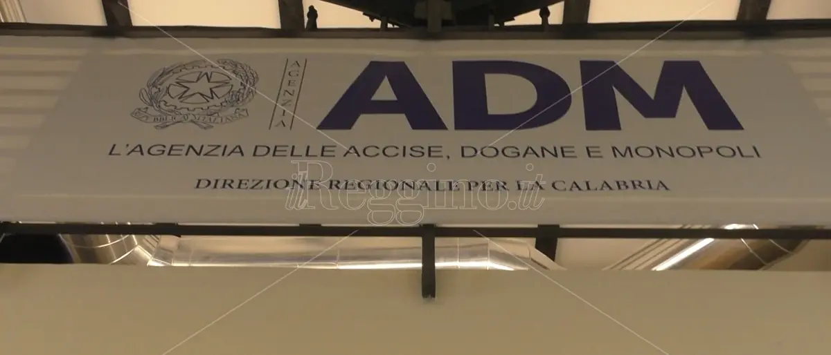 Migranti, Carbone: «Agenzia delle Dogane ha gestito oltre 200 imbarcazioni» - VIDEO