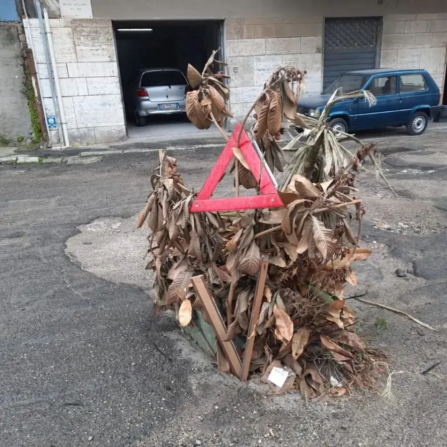 Reggio, un albero in via Paviglianiti per coprire la voragine