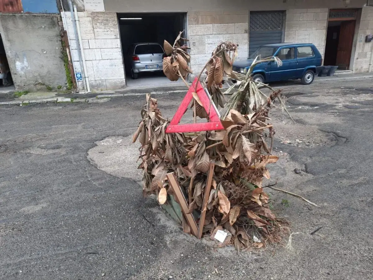 Reggio, un albero in via Paviglianiti per coprire la voragine