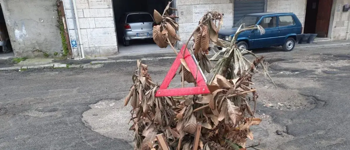 Reggio, un albero in via Paviglianiti per coprire la voragine