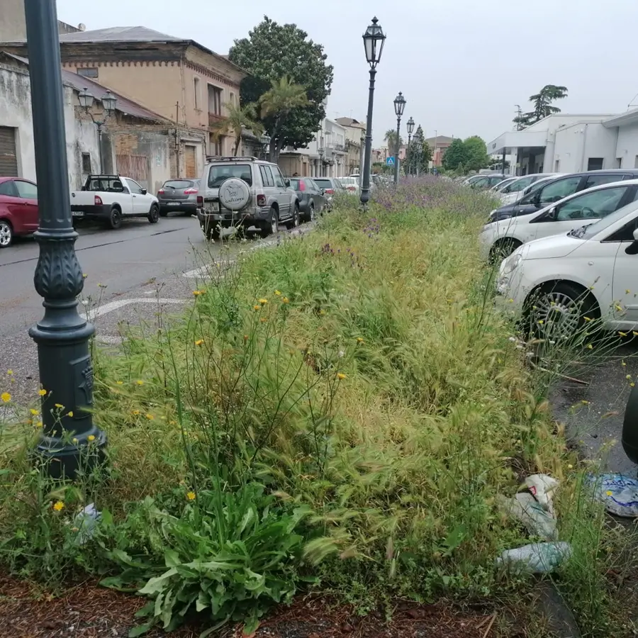 Gioia Tauro, stazione ferroviaria in preda al degrado e all'incuria